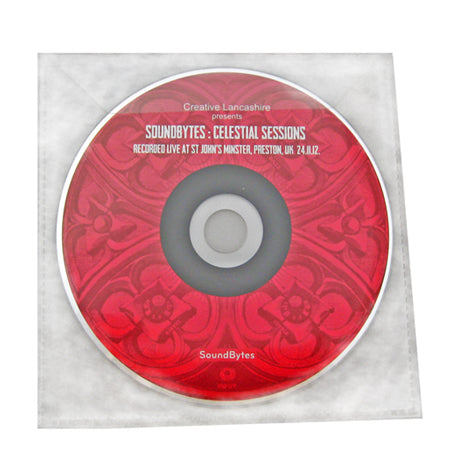 Printed CD DVD in PVC Sleeves